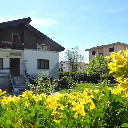 House Angy